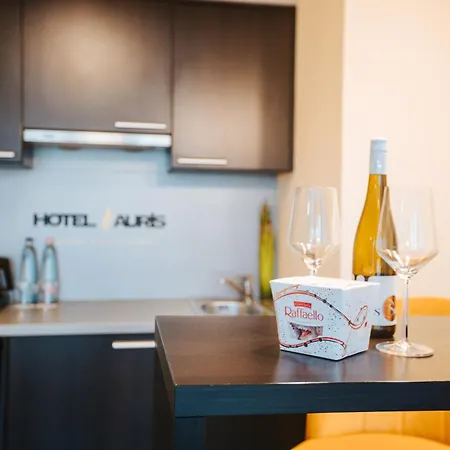 Hotel Auris 4*
