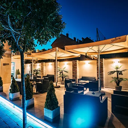 Auris 4* سيغيد