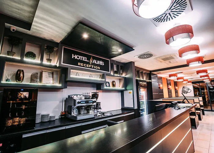 Auris Hotel Seghedin